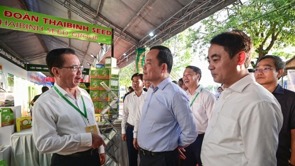 ThaiBinh Seed kỳ vọng đột phá với nhà máy chế biến gạo 50.000 tấn