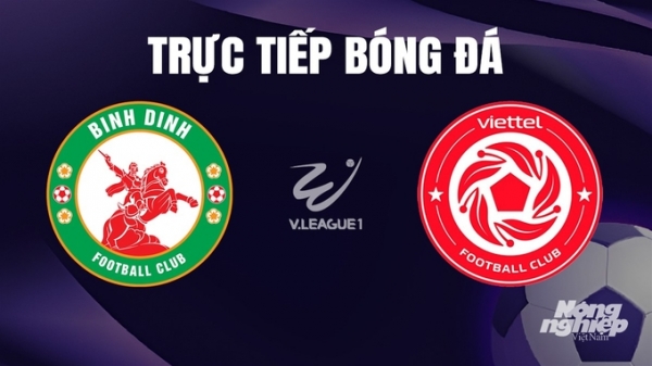 Trực tiếp Bình Định vs Viettel giải V-League 2023/24 trên TV360 hôm nay 23/12/2023