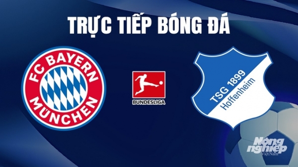 Trực tiếp Bayern Munich vs Hoffenheim giải Bundesliga trên On Sports News hôm nay 13/1