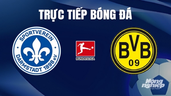 Trực tiếp Darmstadt vs Dortmund giải Bundesliga trên On Sports News ngày 14/1