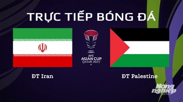 Trực tiếp Iran vs Palestine giải Asian Cup 2023 trên VTV5 ngày 15/1