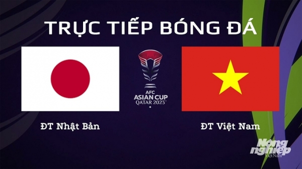 Trực tiếp Nhật Bản vs Việt Nam giải Asian Cup 2023 trên VTV5 hôm nay 14/1