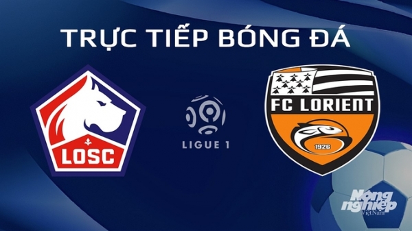 Trực tiếp Lille vs Lorient giải Ligue 1 trên On Sports News hôm nay 14/1/2024