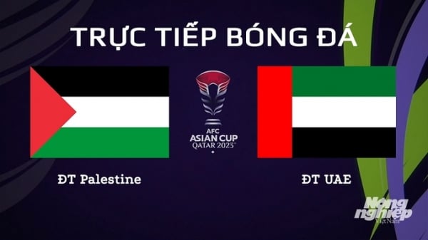 Trực tiếp Palestine vs UAE giải Asian Cup 2023 trên VTV5 ngày 19/1