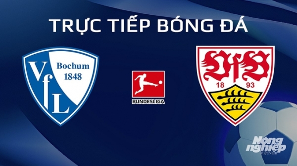 Trực tiếp Bochum vs Stuttgart giải Bundesliga trên On Football hôm nay 20/1