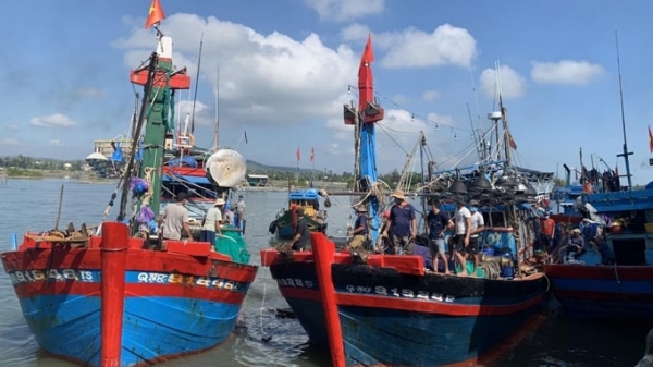 International collaboration pledges support for Vietnam's sustainable fisheries development
