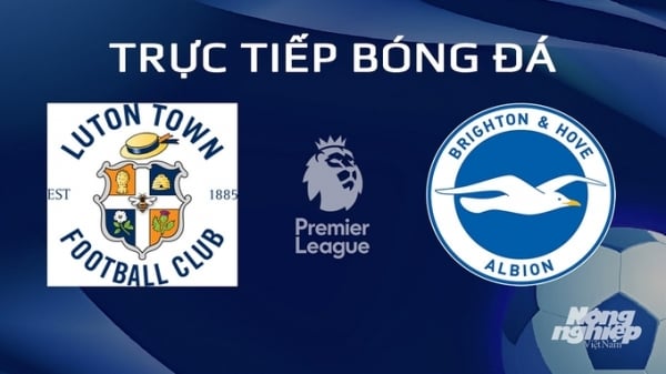 Trực tiếp Luton Town vs Brighton giải Ngoại hạng Anh trên On Sports+ hôm nay 31/1/2024