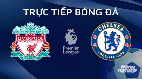 Trực tiếp Liverpool vs Chelsea giải Ngoại hạng Anh trên K+ SPORT 1 hôm nay 1/2/2024