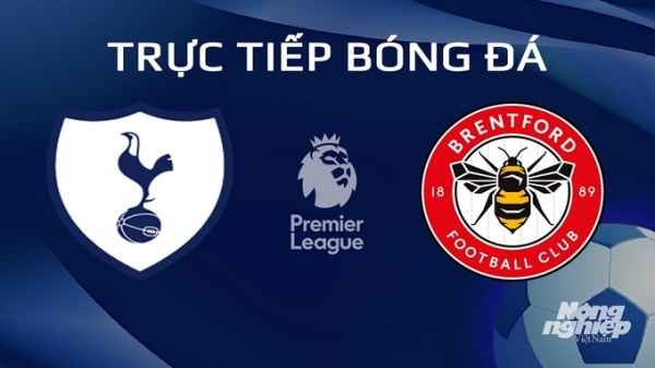 Trực tiếp Tottenham vs Brentford giải Ngoại hạng Anh trên On Sports hôm nay 1/2/2024