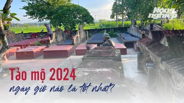 Tảo mộ 2024 vào ngày giờ nào là tốt nhất?