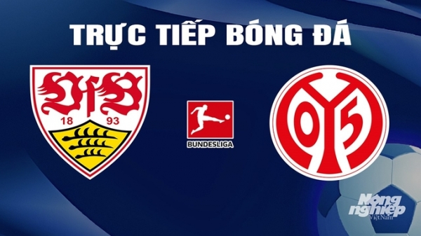 Trực tiếp Stuttgart vs Mainz 05 giải Bundesliga trên On Sports News hôm nay 11/2