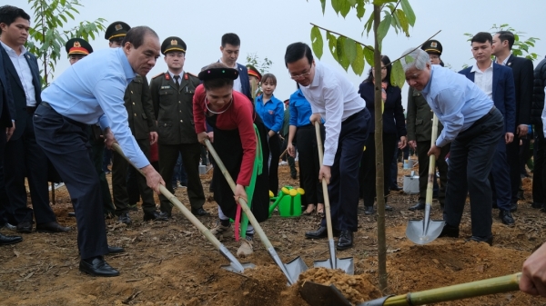 Trồng 3.000 cây xanh tại Lễ phát động Tết trồng cây xuân Giáp Thìn