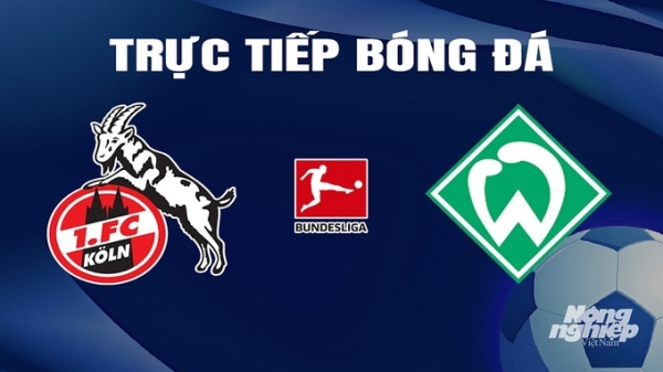 Trực tiếp Koln vs Werder Bremen giải Bundesliga trên On Sports News hôm nay 17/2