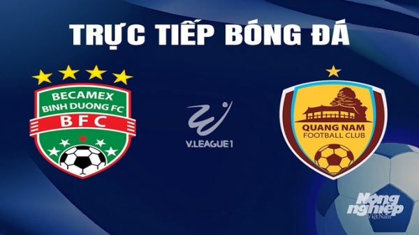 Trực tiếp Bình Dương vs Quảng Nam giải V-League 2023/24 trên TV360 hôm nay 17/2/2024