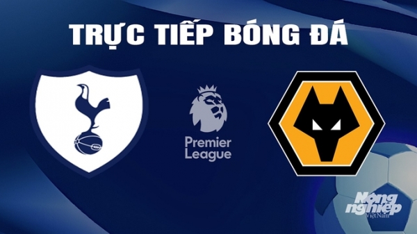 Trực tiếp Tottenham vs Wolves giải Ngoại hạng Anh trên On Sports hôm nay 17/2/2024