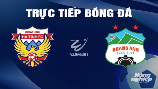 Trực tiếp Hà Tĩnh vs HAGL giải V-League 2023/24 trên TV360 hôm nay 18/2/2024