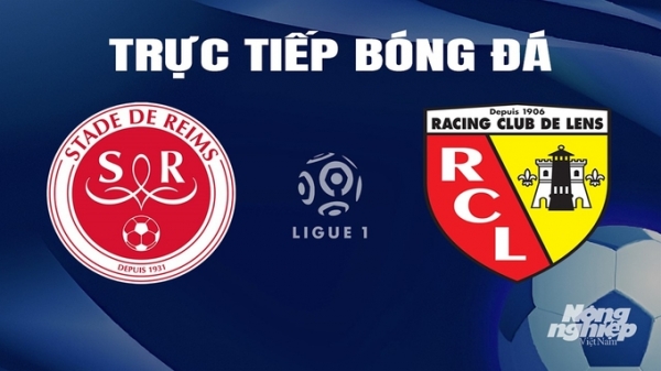 Trực tiếp Reims vs Lens giải Ligue 1 trên On Sports hôm nay 18/2/2024