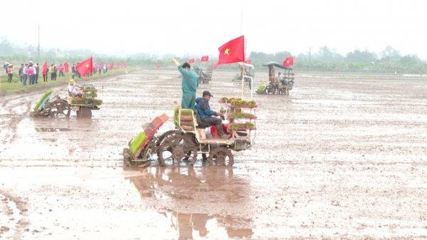 Nông dân Hà Nam tranh tài cấy lúa bằng máy