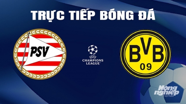 Trực tiếp PSV vs Dortmund giải Cúp C1 Châu Âu trên FPTPlay hôm nay 21/2