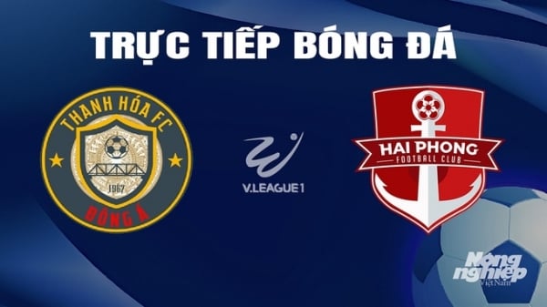 Trực tiếp Thanh Hóa vs Hải Phòng giải V-League 2023/24 trên TV360 hôm nay 23/2/2024