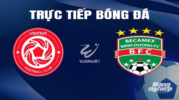 Trực tiếp Viettel vs Bình Dương giải V-League 2023/24 trên TV360 hôm nay 23/2/2024