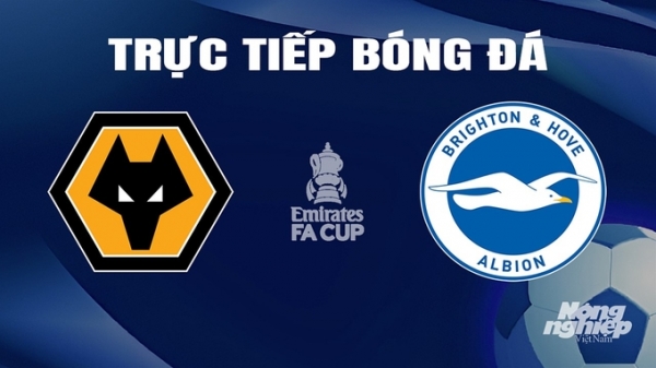 Trực tiếp Wolves vs Brighton giải Cúp FA trên FPTPlay hôm nay 29/2
