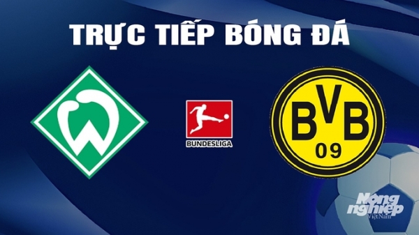 Trực tiếp Werder Bremen vs Dortmund giải Bundesliga trên On Sports News ngày 10/3
