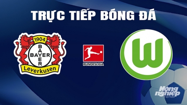 Trực tiếp Bayer Leverkusen vs Wolfsburg giải Bundesliga trên On Sports News hôm nay 11/3