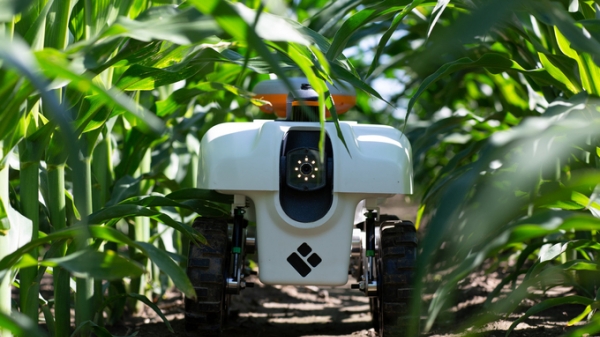 Cách AI thay đổi tương lai công nghệ nông nghiệp