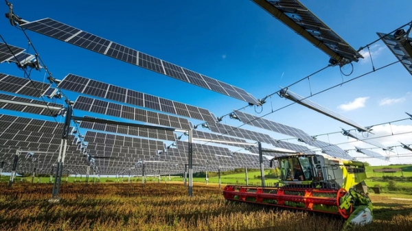 Pháp tìm cách ngăn trang trại năng lượng mặt trời đe dọa nông nghiệp