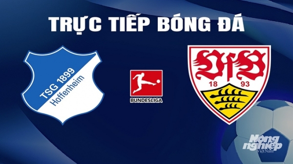 Trực tiếp Hoffenheim vs Stuttgart giải Bundesliga trên On Sports News ngày 17/3