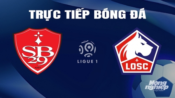 Trực tiếp Brest vs Lille giải Ligue 1 trên On Sports News hôm nay 17/3/2024