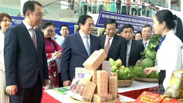 Vinh Long to build high-tech, ecological agriculture