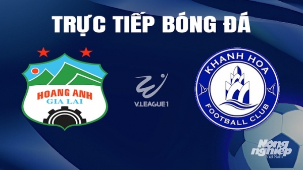 Trực tiếp HAGL vs Khánh Hòa giải V-League 2023/24 trên TV360 hôm nay 30/3/2024