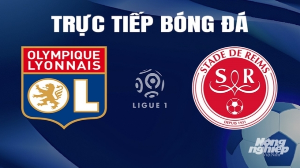Trực tiếp Lyon vs Reims giải Ligue 1 trên On Sports News ngày 31/3/2024