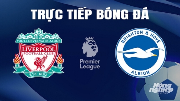 Trực tiếp Liverpool vs Brighton giải Ngoại hạng Anh trên K+ SPORT 1 hôm nay 31/3/2024