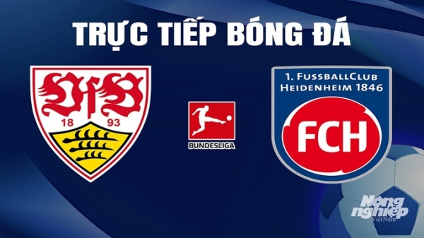 Trực tiếp Stuttgart vs Heidenheim giải Bundesliga trên On Sports News hôm nay 31/3