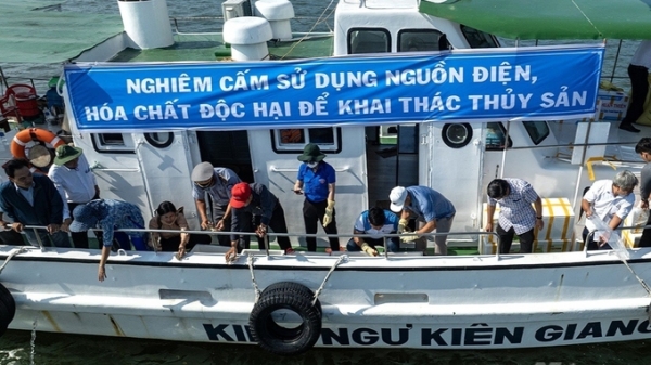 Thả gần 9 triệu con giống thủy sản về cửa biển Xẻo Nhàu và Kiên Lương