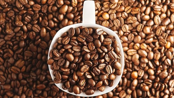 Giá cà phê hôm nay 2/4/2024: Arabica tăng mạnh