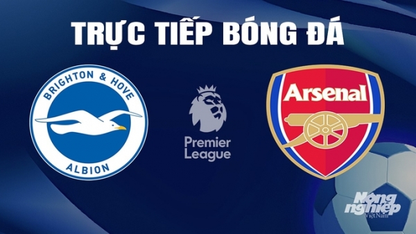 Trực tiếp Brighton vs Arsenal giải Ngoại hạng Anh trên K+ SPORT 1 hôm nay 6/4/2024
