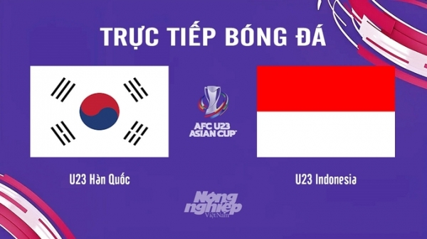 Trực tiếp Hàn Quốc vs Indonesia giải U23 Châu Á 2024 trên VTV5 ngày 26/4