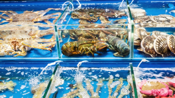 China's market wide open for live lobster and crab