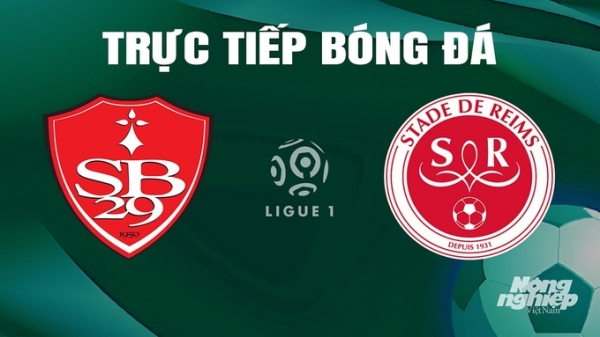 Trực tiếp Brest vs Reims giải Ligue 1 trên On Sports ngày 11/5/2024