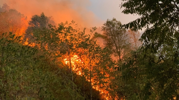 Mù Cang Chải liên tiếp xảy ra cháy rừng