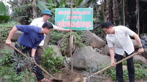 Trồng hàng nghìn cây phong linh, mai anh đào để phát triển du lịch