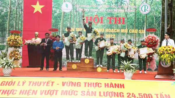 Hội thi bàn tay vàng thu hoạch mủ Công ty cao su Phú Riềng năm 2022