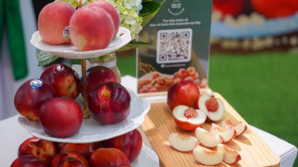 Thích thú với Lễ hội 'Chào đón trái cây mùa hạ Australia' tại WinMart