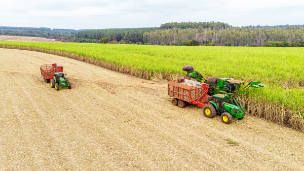 TTC AgriS đồng hành cùng nông dân phát triển bền vững vùng nguyên liệu