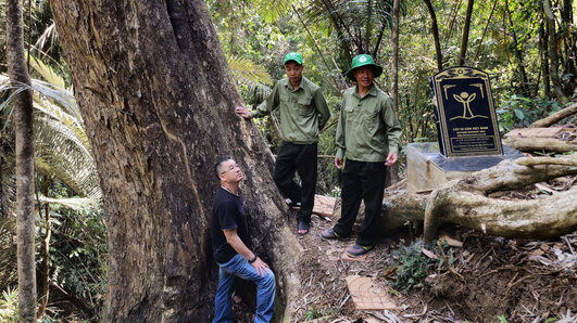 Phát triển kinh tế rừng Đắk Nông [Bài 3] Cơ hội rừng phòng hộ Thác Mơ