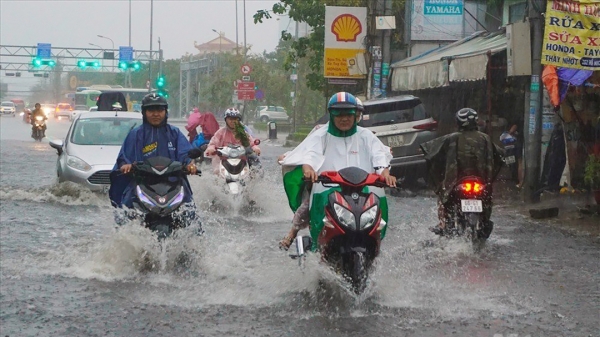 TP.HCM 'mưa cũng ngập, không mưa cũng ngập'